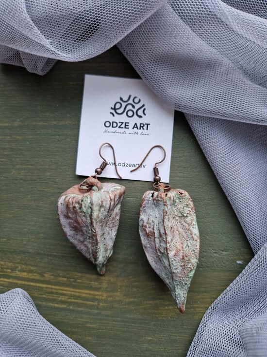 Vara auskari "Signija"